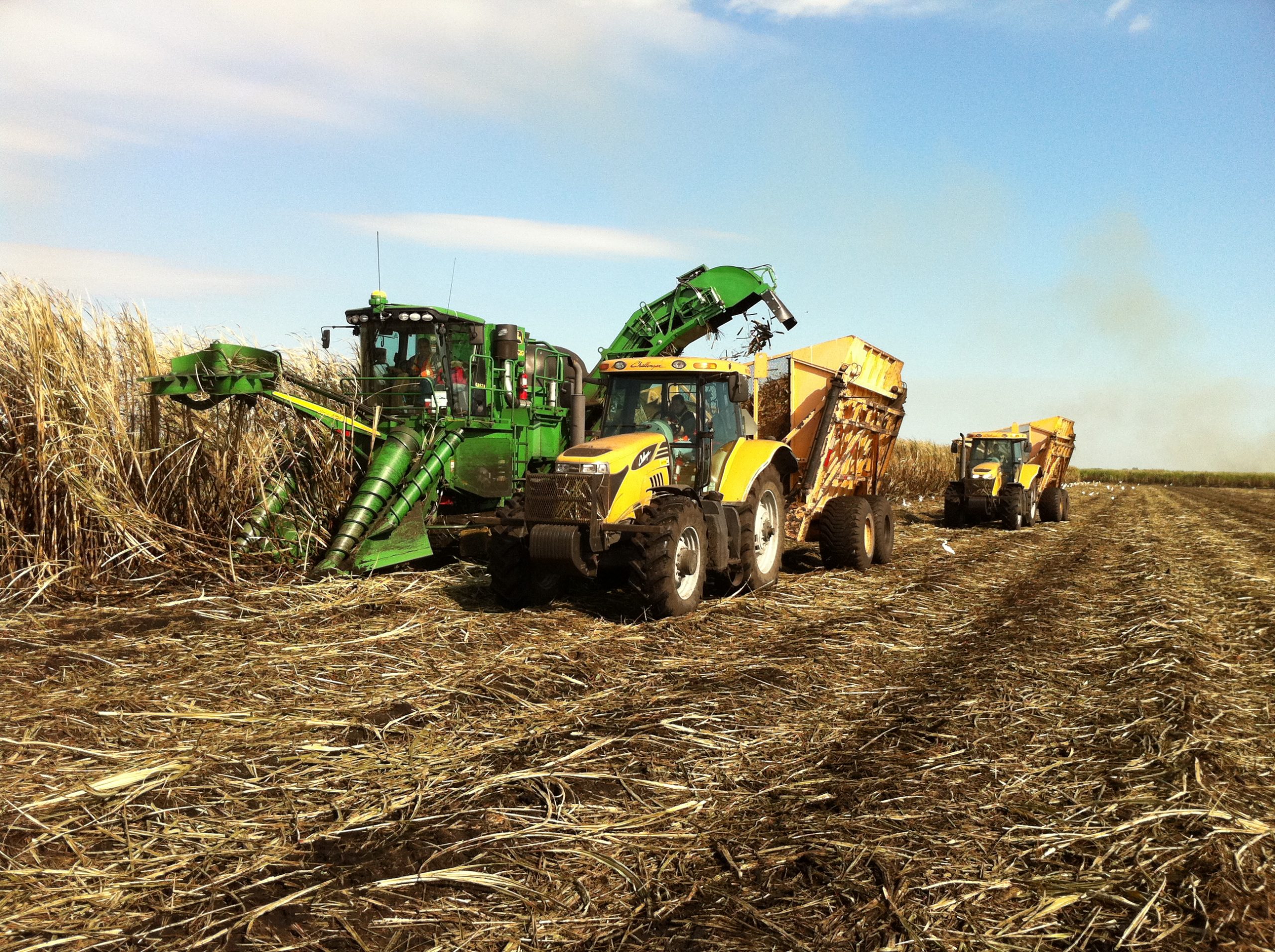 Ten Interesting Things About U.S. Sugar I Learned This Harvest Season