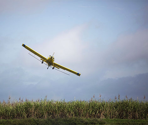 Florida Cub Flyer Airplane over field