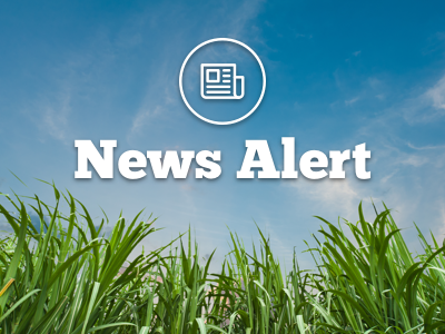 U.S. Sugar Statement on Motion to Dismiss Baseless Lawsuit Against Florida Farmers