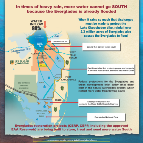 US-Sugar-Red-Tide-Ad5-Sarasota-Herald-Tribune-480x0-c-default