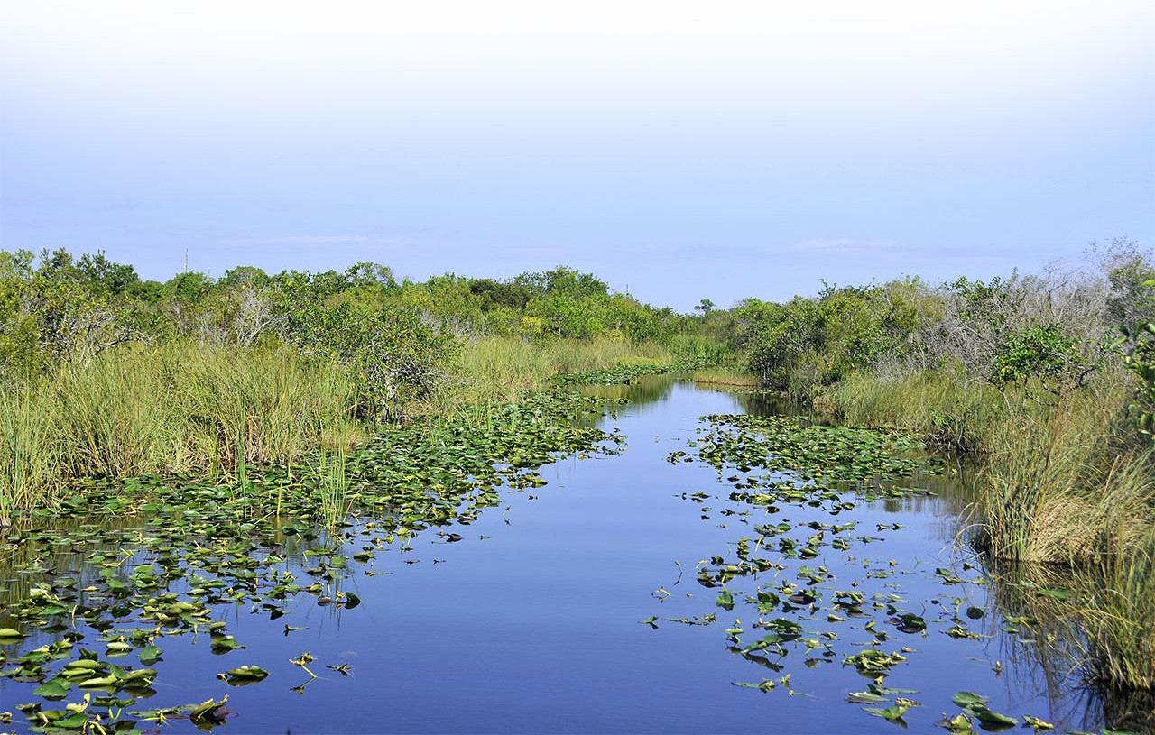 U.S. Sugar Farmers Clean Water, Preserve Legacy