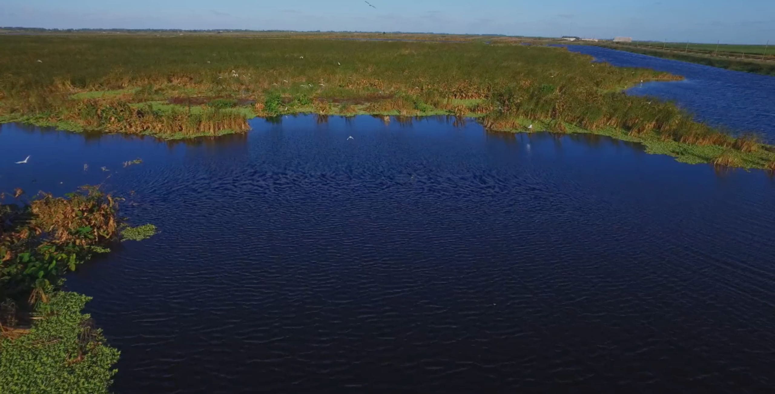 Clean air clean water
