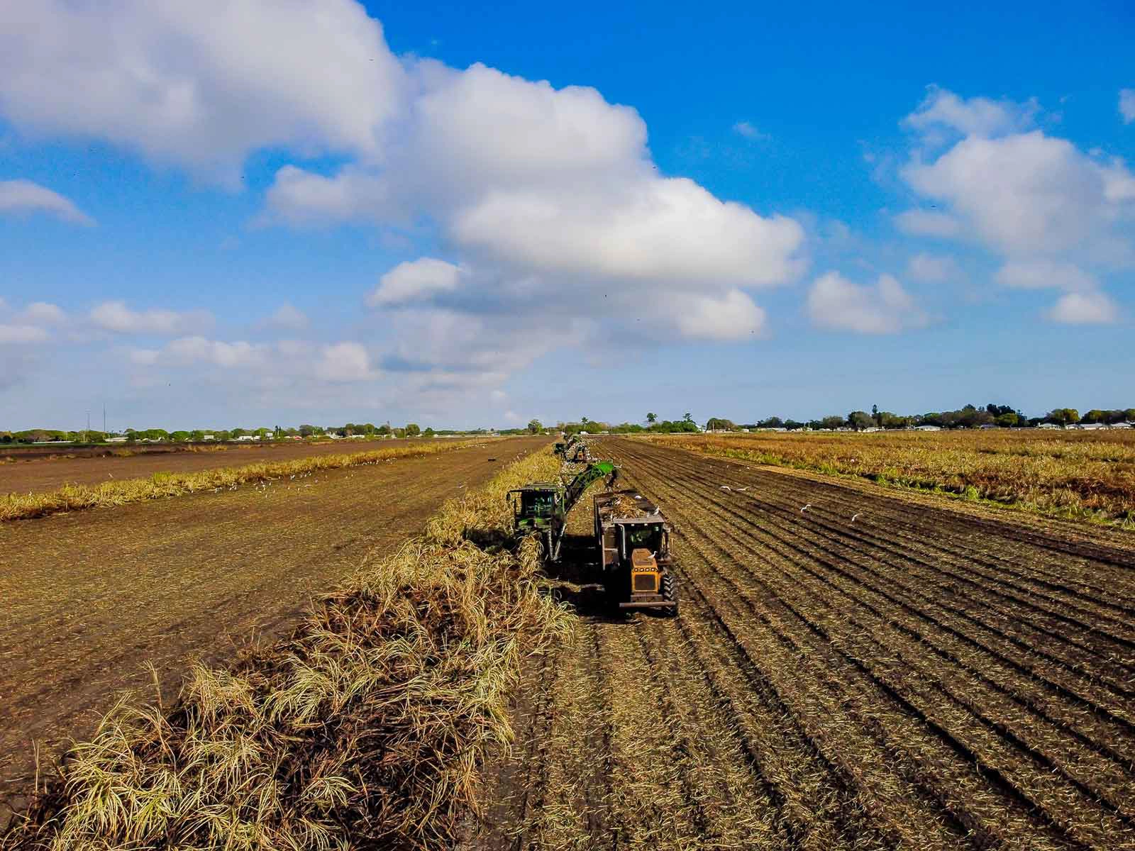 Tractor in field