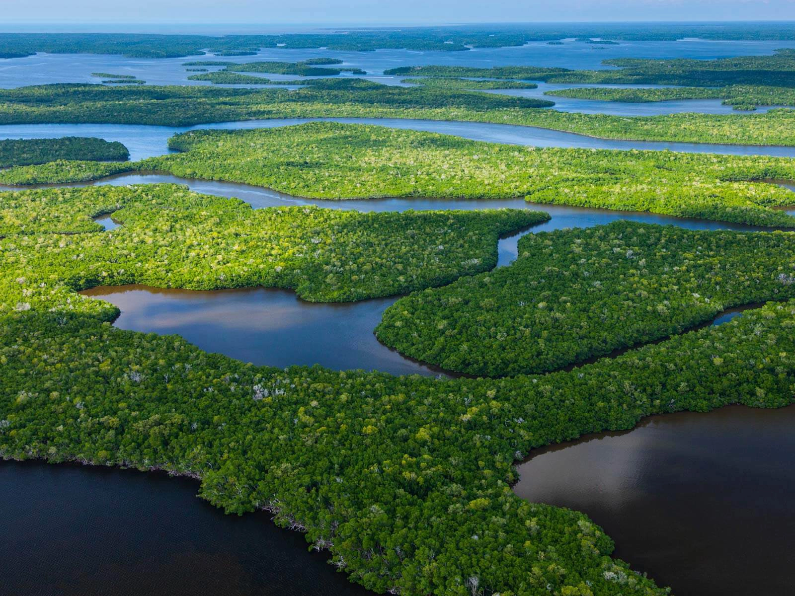 Everglades