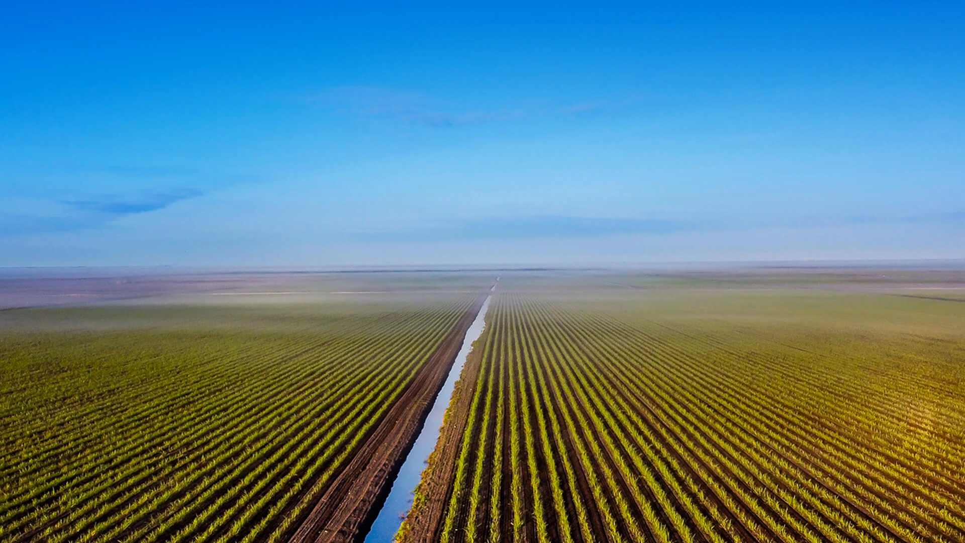 U.S. Sugar fields