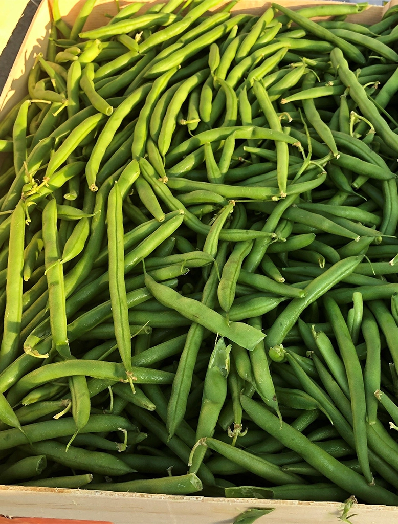Magnolia Packing Green Beans