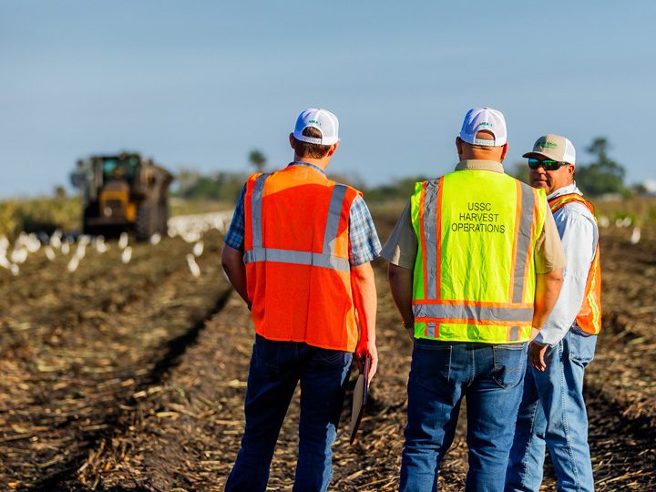 U.S. Sugar employees in safety vests overseeing harvest operations in South Florida, highlighting agriculture as a major employer and its economic impact on rural economic development in the Glades region